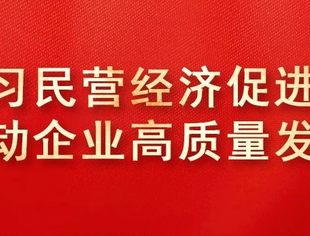 刘良会长：以法护航，民营经济大有可为——学习《民营经济促进法》心得体会