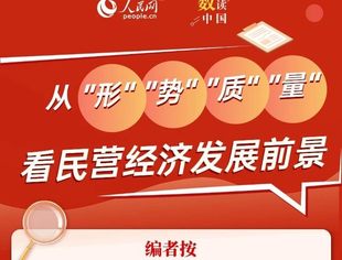 【经济资讯】从“形”“势”“质”“量”看民营经济发展前景
