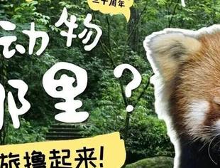 跟着湄旅慢慢游 | 神奇动物在哪里？