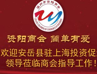 安岳县驻上海投资促进局局长一行莅临商会考察