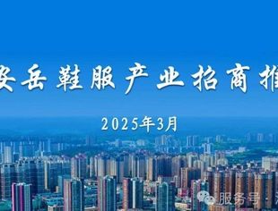 热烈欢迎安岳县委书记刘建华一行来温州开展鞋服投资促进活动