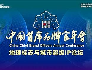 商业品牌工作委员会应邀参加2025中国首席品牌官年会·地理标志与城市超级IP论坛