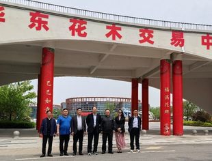【工委会动态】中国商业文化研究会商业品牌工作委员会钱先国会长一行赴“花木之乡”沭阳调研