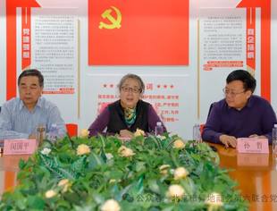 【特别报道】北京市异地商会第六联合党委召开四省2024年度商会党组织及商会总结（考评）会议