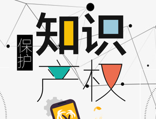 中共中央 国务院印发《知识产权强国建设纲要（2021—2035年）》