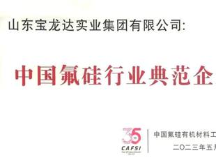 宝龙达再次荣获中国氟硅行业多项殊荣
