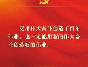 二十大报告金句