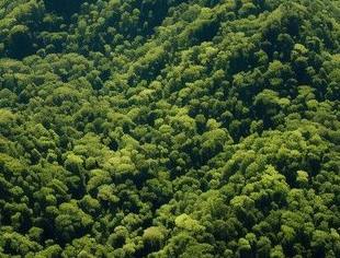 守护绿水青山,我会副会长单位启明星辰集团天清视频安全防护系统为环保监控保驾护航