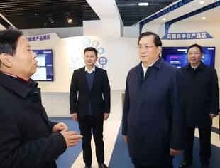 湖北省委副书记、省长王忠林调研达梦数据