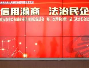 促进会部分会员单位签署“信用渝商、法治民企” 践行承诺书