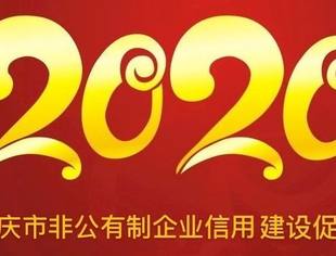 2020:珍信、增信,我们奔跑在路上