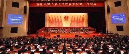 信促会6位会长出席重庆“两会”并积极建言献策