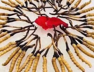 我会会员企业神洲四海电商平台正式上线！