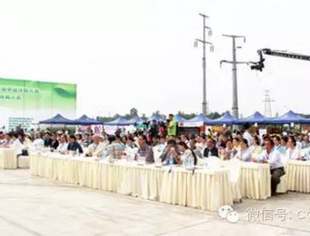 第五届中国成都国际非物质遗产节龙和国际茶城茶主题文化分会场隆重开幕