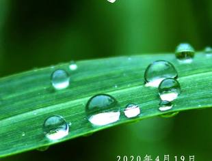 暮春回望，怎敢辜负春光