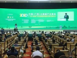 【京桂商新闻】2020中国（广西）大健康产业峰会成功举办