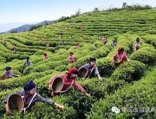 【专访】温一壶时光煮茶