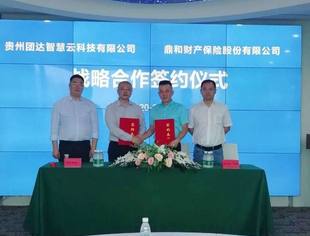 团达智慧云科技有限公司与南方电网鼎和保险公司举行签约仪式