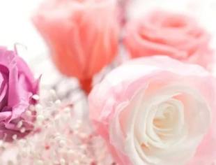 三八妇女节 | 特别的告白,给特别的您