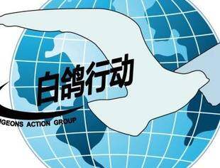 白鸽行动华南站-延期公告