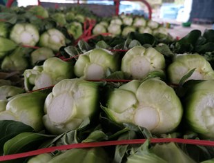 【每日播报】温暖的蔬菜——监事会副主席罗琼为主城近万家庭免费送蔬菜侧记