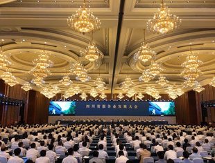 吕状文会长应邀参加四川省服务业发展大会    四川省重庆商会荣获“四川省促进服务业发展工作先进单位”