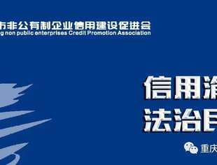 （渝信促〔2020〕10号）关于印发《重庆市非公有制企业信用建设促进会活动管理办法（试行）》的通知