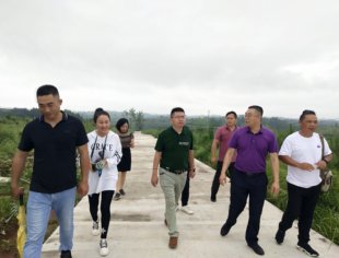 四川省重庆商会潼南分会副会长单位九千里文旅专业团队回潼南考察农旅康养项目