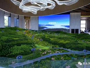 【会员风采】共建经济圈、助力家乡发展  ——刘德平投资推动叙永罗汉林乡村振兴产业扶贫特色小镇项目蓬勃建设