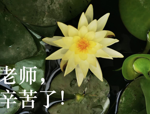 北京资阳企业商会祝教师节快乐！
