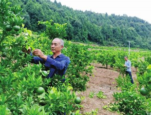 【理事长单位动态】倾情帮扶 峨眉电影集团把四川南部脱贫故事搬上荧屏