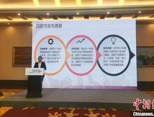 《5G＋8K超高清国产化白皮书》在蓉发布 视频超高清化成行业趋势