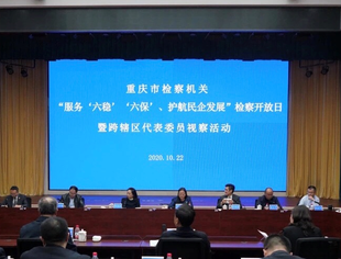 【商会动态】我会副会长刘家平参加“服务‘六稳’‘六保’、护航民企发展”检察开放日暨跨辖区代表委员联络活动