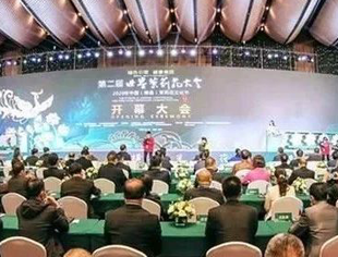 【京桂商新闻】商会应邀出席第二届世界茉莉花大会系列活动