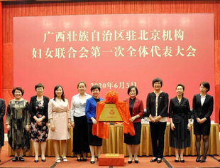 广西成立全国首个异地驻京机构妇联组织