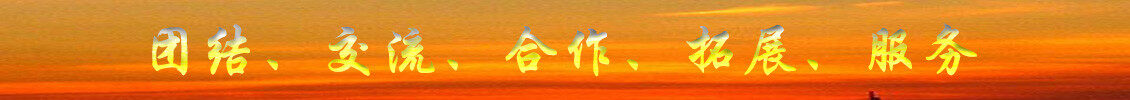 zongzhi